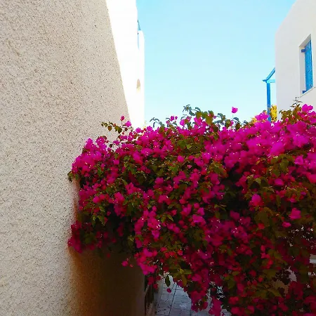 Dioni * Kamari (Santorini)