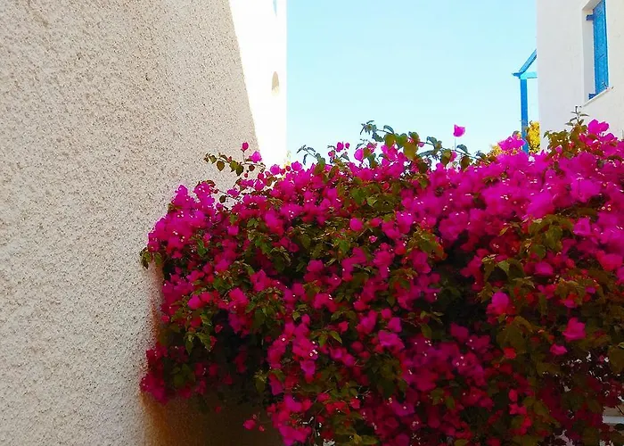 Dioni * Kamari (Santorini)