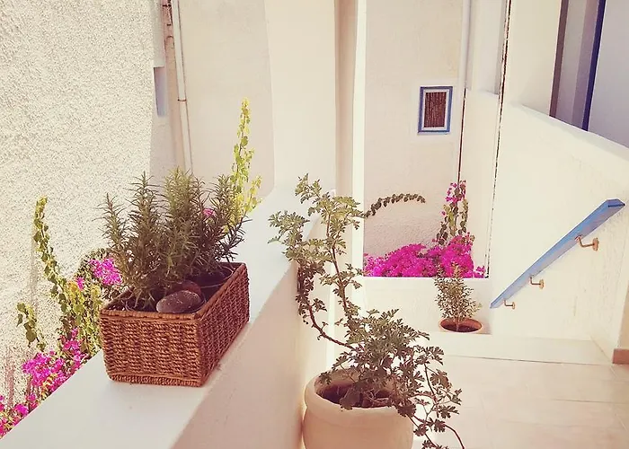 Dioni Kamari (Santorini)