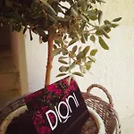Dioni