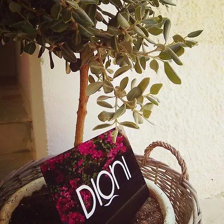 Dioni